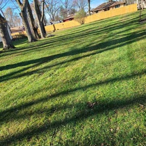 Leaf Removal by GC Lawn Care & Landscaping Services reviewed on May 12, 2022