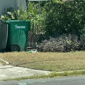 Bush Trimming by Go Green Garza Solutions reviewed on August 10, 2024