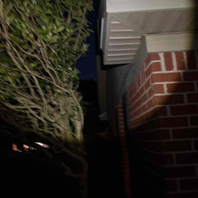 Bush Trimming by Top level lawn reviewed on April 4, 2025