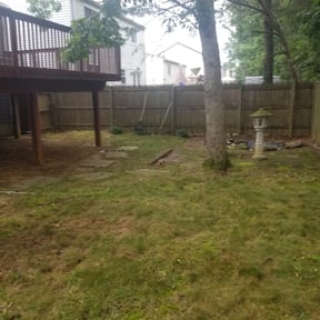 Leaf Removal by Capitol Lawn Company reviewed on July 12, 2022