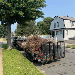 Cleanups by Affordable Lawncare Co. reviewed on June 16, 2022