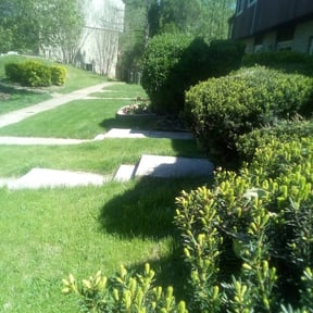 Bush Trimming by Tight Lines LawnService reviewed on July 5, 2022
