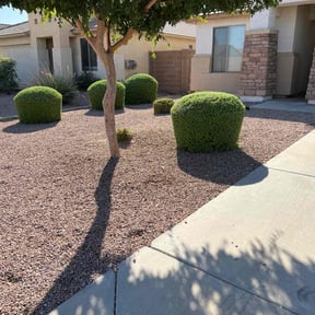 Bush Trimming by BluGrass Groomers Lawn Care reviewed on May 18, 2022