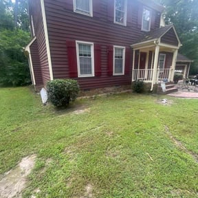 Bush Trimming by The Business reviewed on December 14, 2024