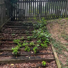 Cleanups by Jeff Sidener reviewed on July 1, 2022