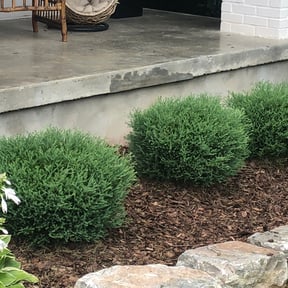 Flower Bed Weeding by JayLandscaping reviewed on April 23, 2025