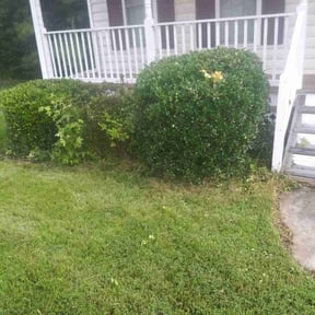 Bush Trimming by Keep It Cut Lawn Services reviewed on March 25, 2025
