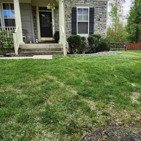 Bush Trimming by CraigScaped Lawn Love reviewed on July 14, 2025