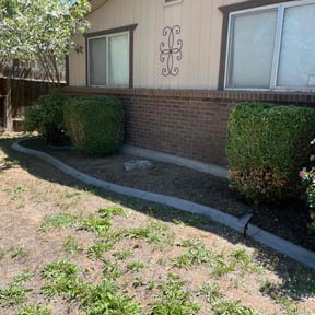 Bush Trimming by DDIY Landscaping and handyman services reviewed on August 9, 2021