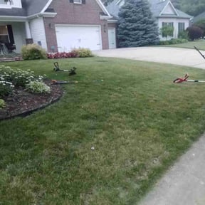Bush Trimming by Tim's Mowing and More reviewed on July 6, 2022