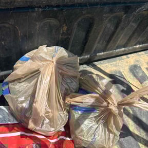 Cleanups by Doyle Lawn Care Services reviewed on September 8, 2020