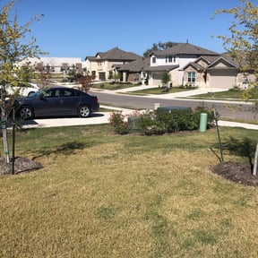 Flower Bed Weeding by Ledezma reviewed on November 8, 2024
