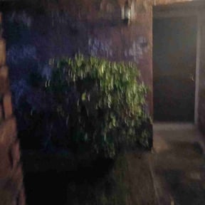 Bush Trimming by electric landscaping llc reviewed on December 17, 2024