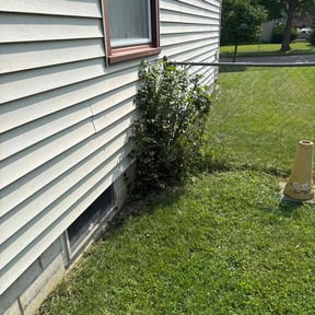 Bush Trimming by Mcqueens lawn care reviewed on August 9, 2022