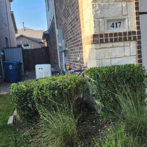 Bush Trimming by ALTEX reviewed on June 23, 2022