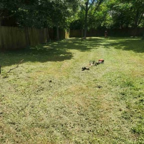 Cleanups by Family lawn care reviewed on June 25, 2022