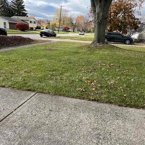 Leaf Removal by On the Go Landscaping reviewed on June 8, 2025