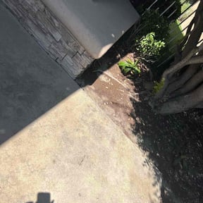 Leaf Removal by Fosters lawn and aeration LLC reviewed on October 26, 2024