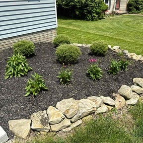 Flower Bed Weeding by Ortiz landscape reviewed on May 14, 2025