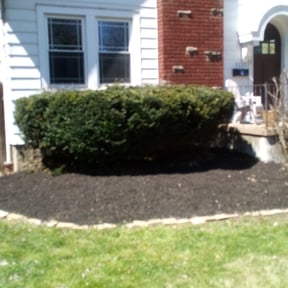 Bush Trimming by Family Lawn Care reviewed on August 11, 2025