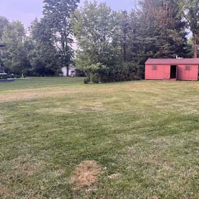 Cleanups by Chase property management and improvements llc reviewed on July 31, 2022