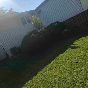 Bush Trimming by Lawn care reviewed on May 23, 2022