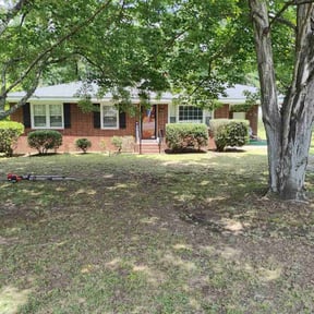 Bush Trimming by Grass gang reviewed on May 9, 2025