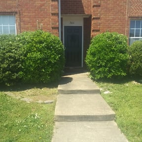 Bush Trimming by Bright's Hauling and Lawncare reviewed on May 7, 2025