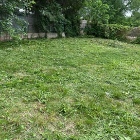 Bush Trimming by Pat’s & Sons Lawncare & Landscaping reviewed on May 16, 2022
