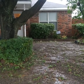 Bush Trimming by Legacy SRD construction reviewed on July 11, 2025