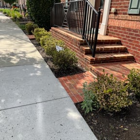 Leaf Removal by GreenCut Lawn Care reviewed on April 20, 2025