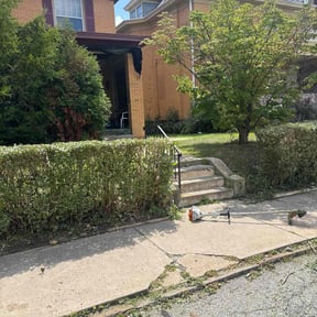 Bush Trimming by Lawns 4 Less reviewed on July 13, 2025