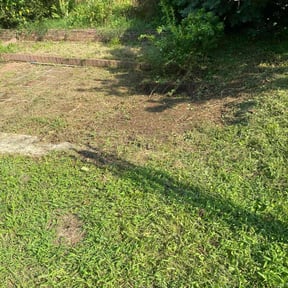 Leaf Removal by Family Lawn Care reviewed on November 4, 2022