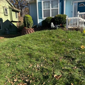 Leaf Removal by Larkins inc reviewed on June 6, 2022