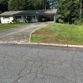 Bush Trimming by Livery Services LTD, llc reviewed on July 12, 2022
