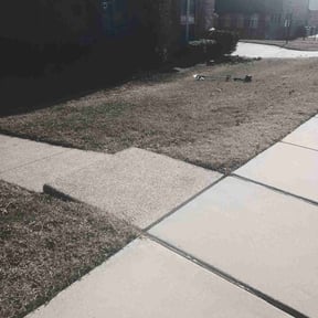 Flower Bed Weeding by Chai reviewed on May 15, 2022