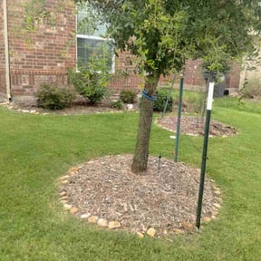 Flower Bed Weeding by Felix Alejos reviewed on July 8, 2022