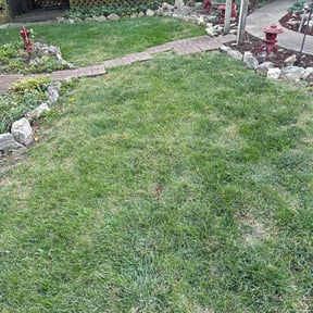 Leaf Removal by Elogantlawn, llc reviewed on July 4, 2025