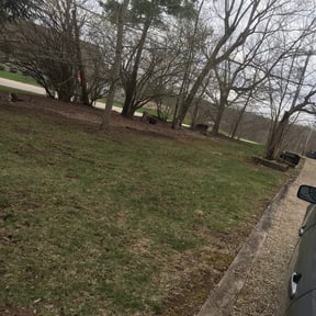 Cleanups by Montoya Maintenance Services reviewed on May 8, 2025