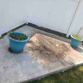 Cleanups by LSLTDallas/FortWorthTruGreen reviewed on June 16, 2024