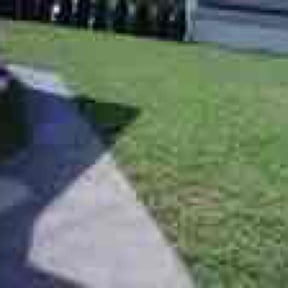 Cleanups by Figueroa Landscape Service reviewed on May 28, 2025