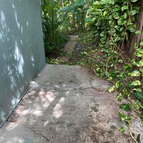 Leaf Removal by Grass Kept Clean & More reviewed on August 1, 2022
