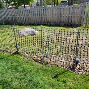 Leaf Removal by Lawn Kingz reviewed on May 23, 2022