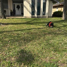Leaf Removal by Sgp Lawn services reviewed on June 27, 2022