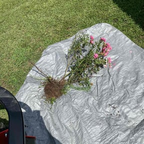 Landscaping by Pearson's Landscaping reviewed on June 28, 2022