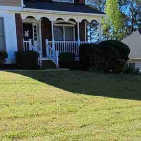 Bush Trimming by T&L Landscaping reviewed on August 2, 2024
