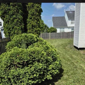 Bush Trimming by NRB LAWN CARE LLC reviewed on June 20, 2022