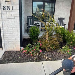 Flower Bed Weeding by Yard Dr. LLC reviewed on July 26, 2022