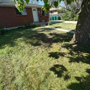 Leaf Removal by Nextdoor Lawn Services LLC reviewed on June 10, 2022