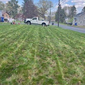 Leaf Removal by Loyalty lawn care reviewed on August 24, 2021